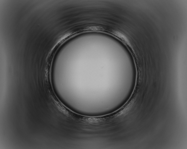 X0000086990827200705071435