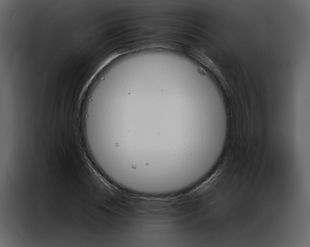 X0000086990828200705071435