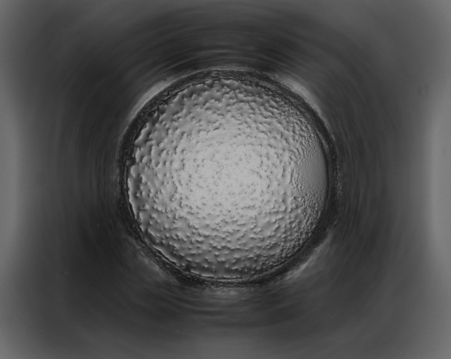 X0000086990829200705071435