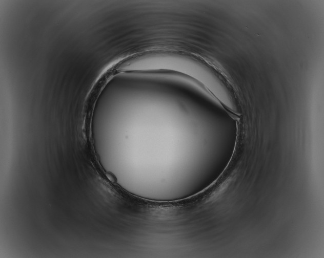 X0000086990830200705071435