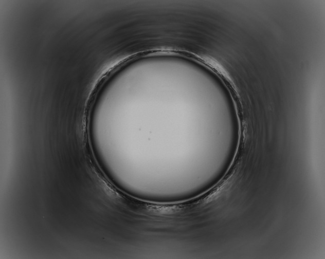 X0000086990831200705071435