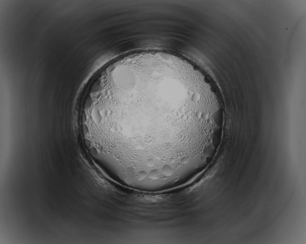 X0000086990835200705071435