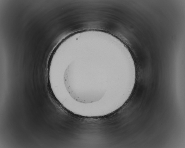 X0000086990836200705071435