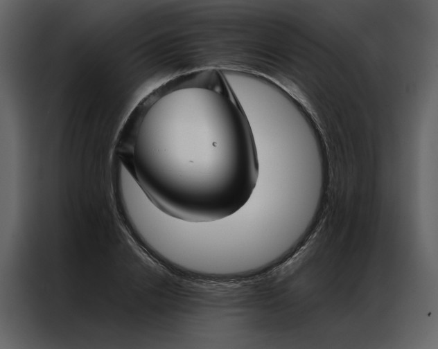 X0000086990838200705071435