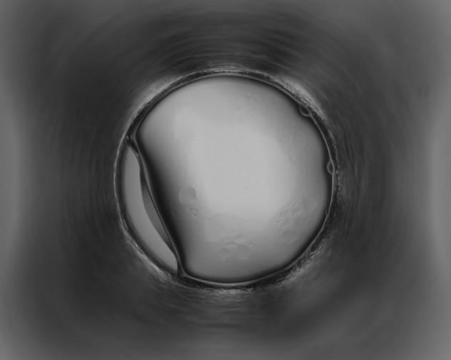 X0000086990839200705071435