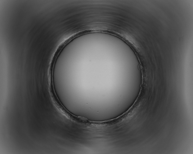 X0000086990840200705071435