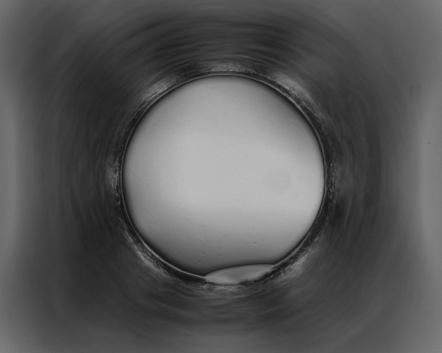 X0000086990841200705071435