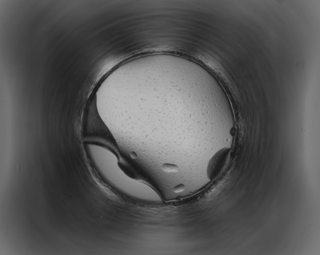 X0000086990842200705071435