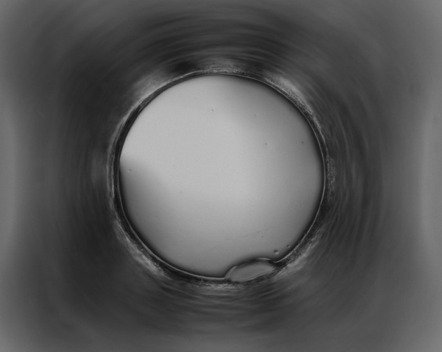 X0000086990843200705071435