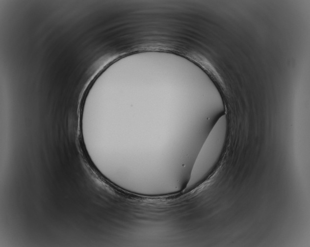 X0000086990844200705071435