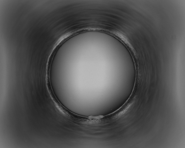 X0000086990845200705071435