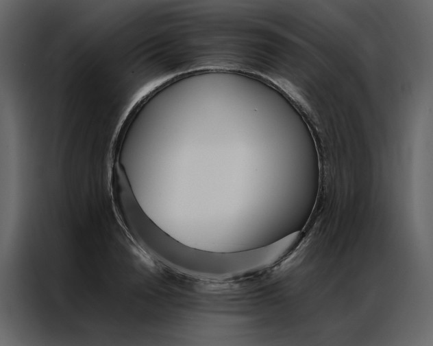 X0000086990846200705071435