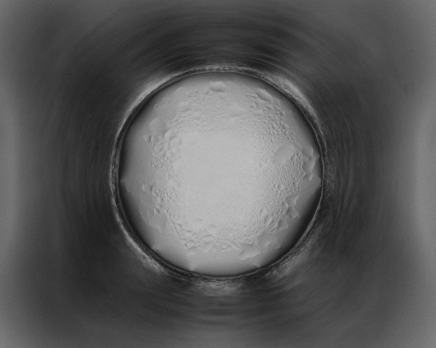 X0000086990847200705071435