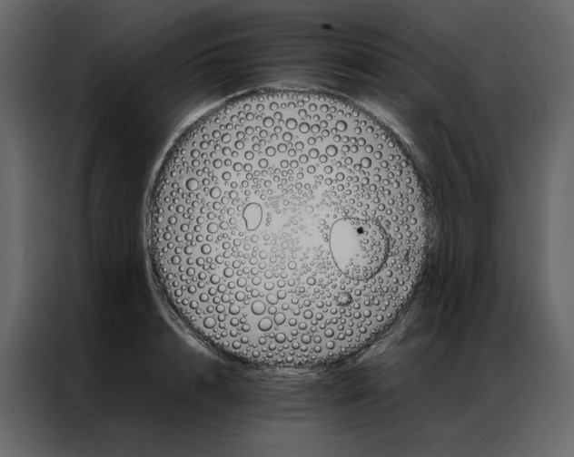 X0000086990848200705071435