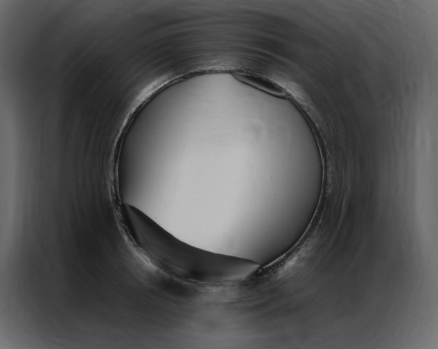 X0000086990850200705071435