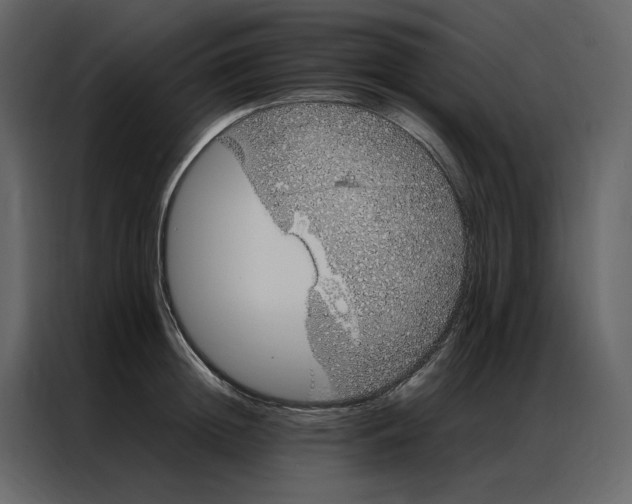 X0000086990852200705071435