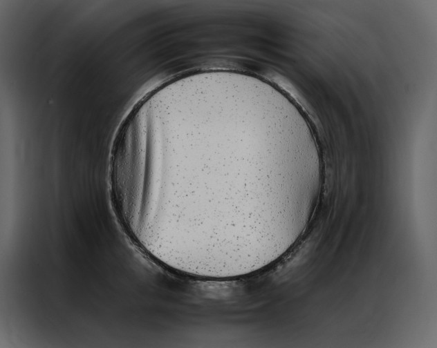 X0000086990853200705071435