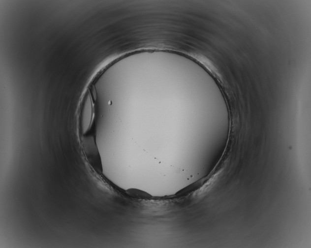 X0000086990854200705071435