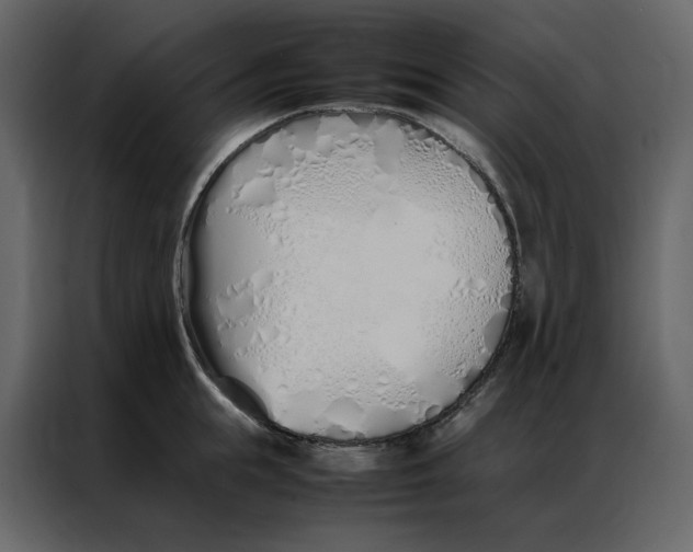 X0000086990855200705071435