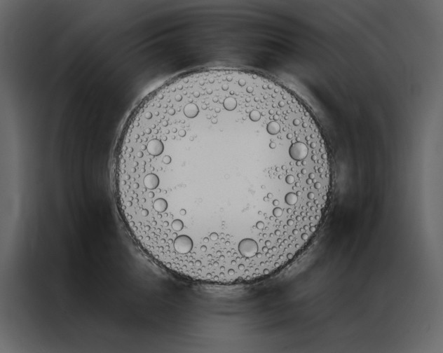 X0000086990856200705071435