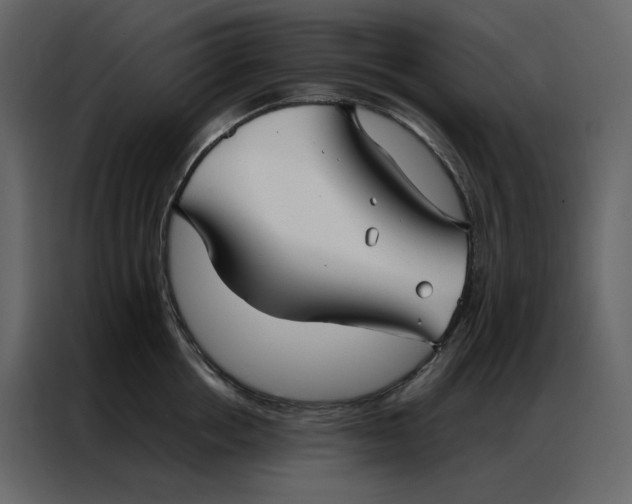 X0000086990858200705071435