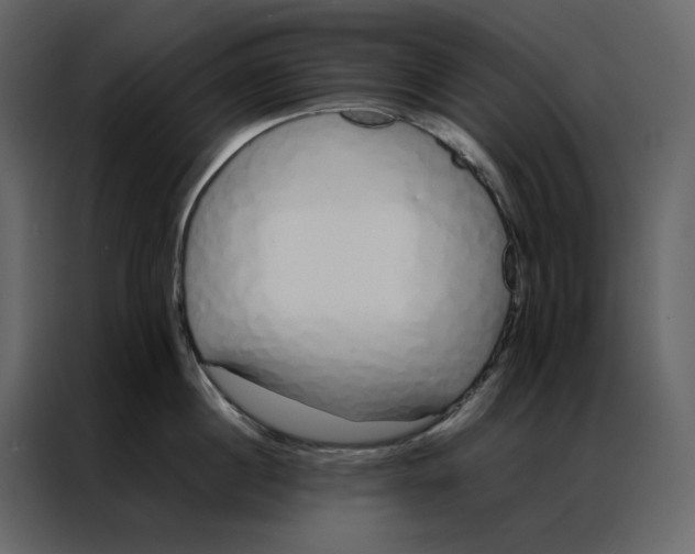 X0000086990860200705071435