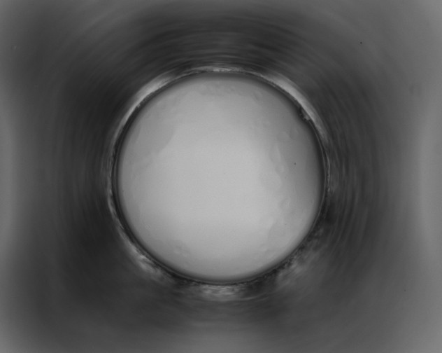 X0000086990861200705071435