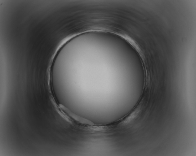 X0000086990862200705071435