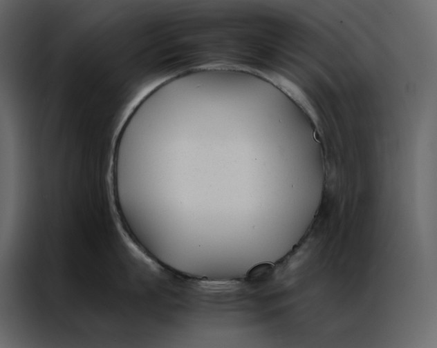 X0000086990863200705071435