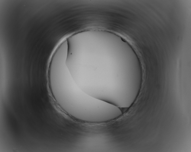 X0000086990864200705071435