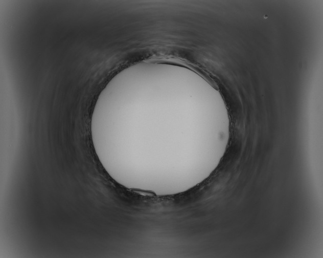 X0000086990865200705071435