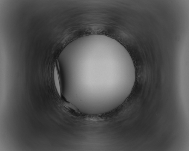 X0000086990866200705071435