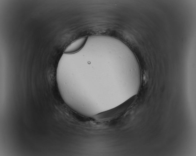 X0000086990867200705071434