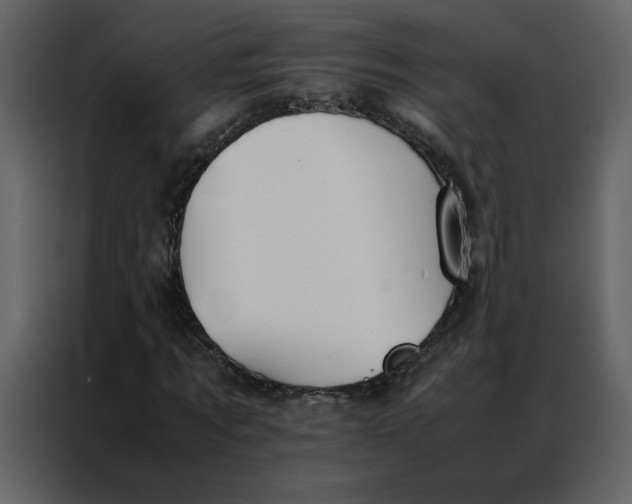 X0000086990869200705071434