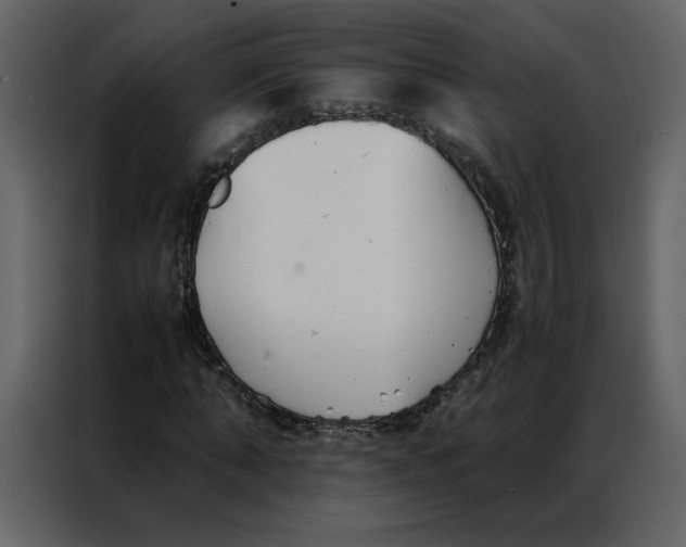 X0000086990870200705071434