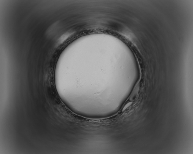 X0000086990871200705071434