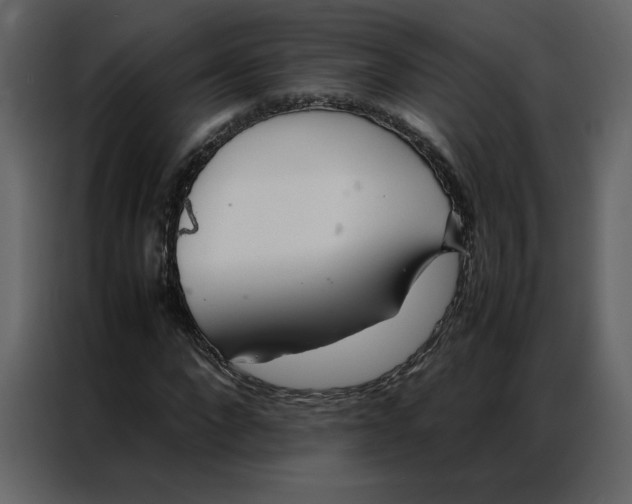 X0000086990872200705071434