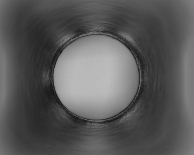 X0000086990873200705071434