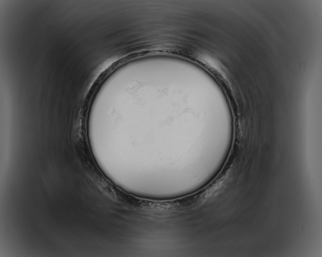 X0000086990875200705071434