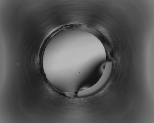 X0000086990876200705071434