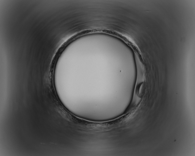 X0000086990879200705071434