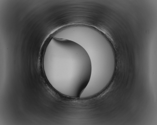 X0000086990880200705071434