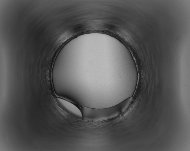 X0000086990881200705071434