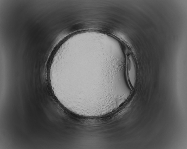 X0000086990883200705071434