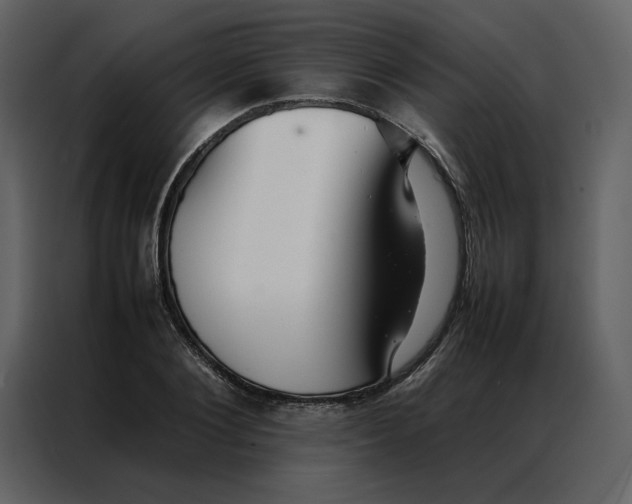 X0000086990884200705071434