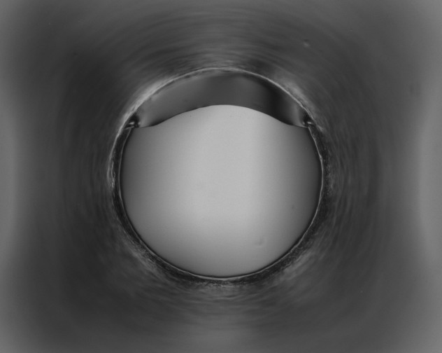 X0000086990885200705071434