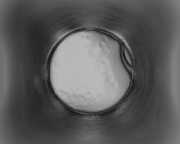 X0000086990887200705071434