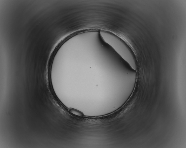 X0000086990888200705071434