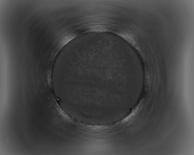 X0000086990889200705071434