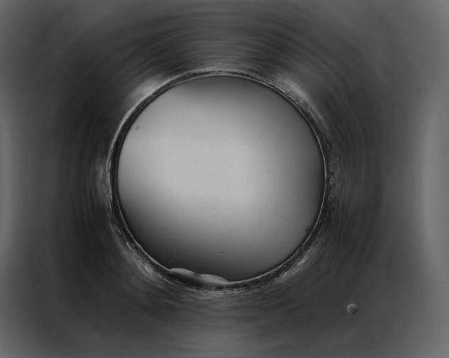 X0000086990892200705071434